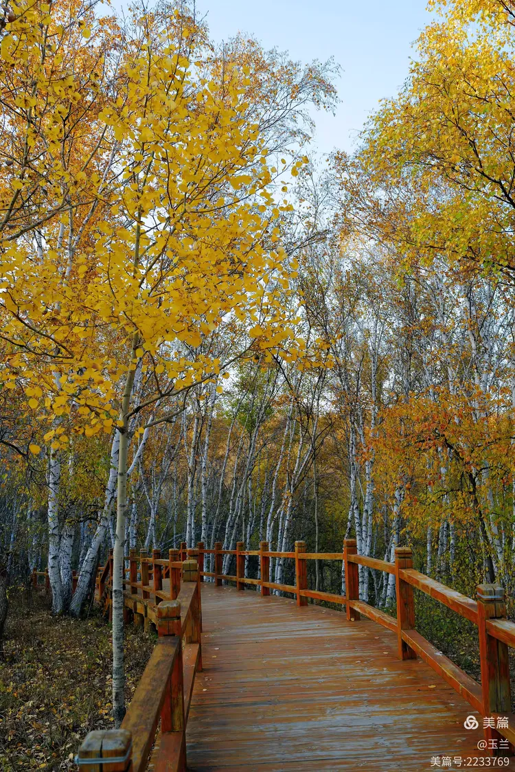 秋游御道口草原森林风景区